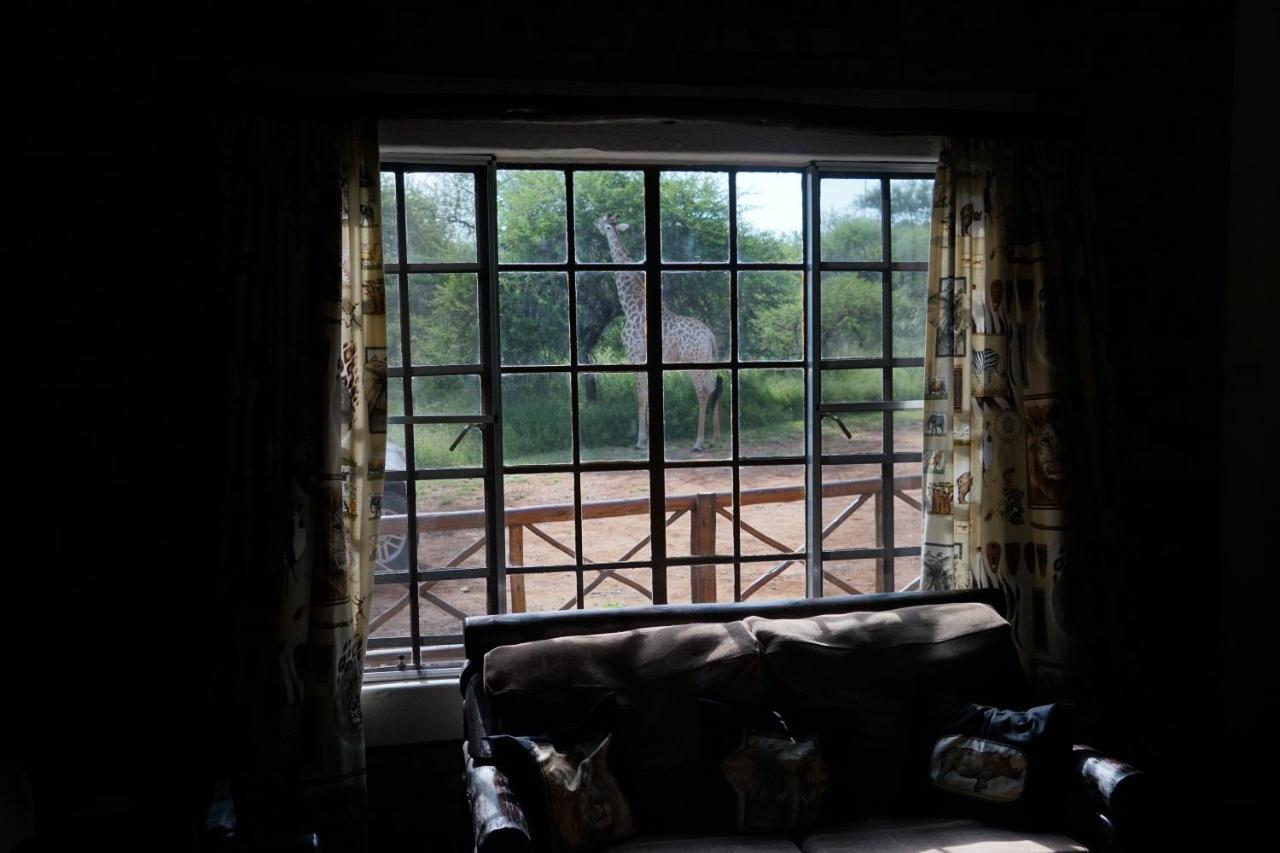 Giraffe Plains Villa Marloth Park Bagian luar foto
