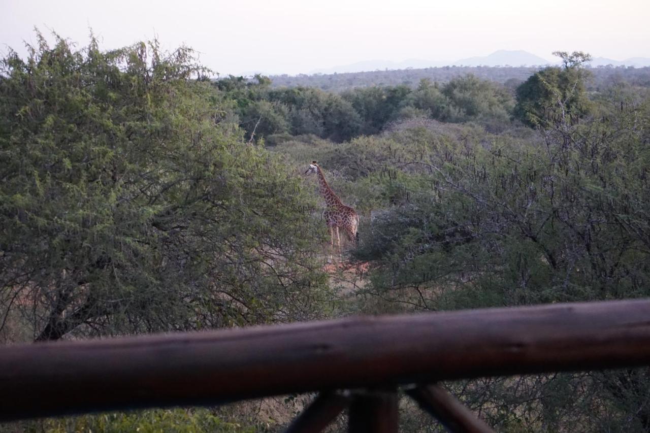 Giraffe Plains Villa Marloth Park Bagian luar foto