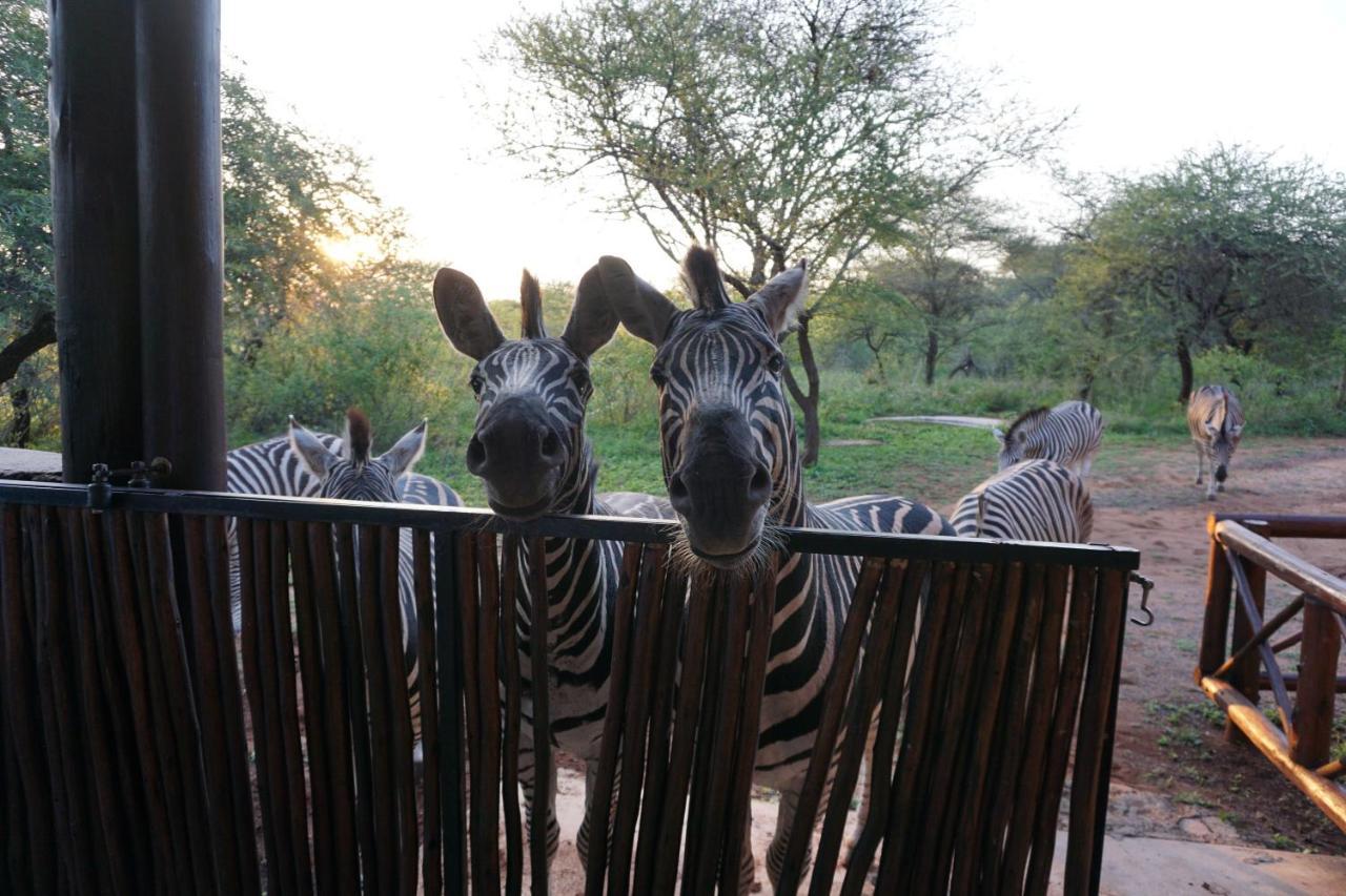 Giraffe Plains Villa Marloth Park Bagian luar foto