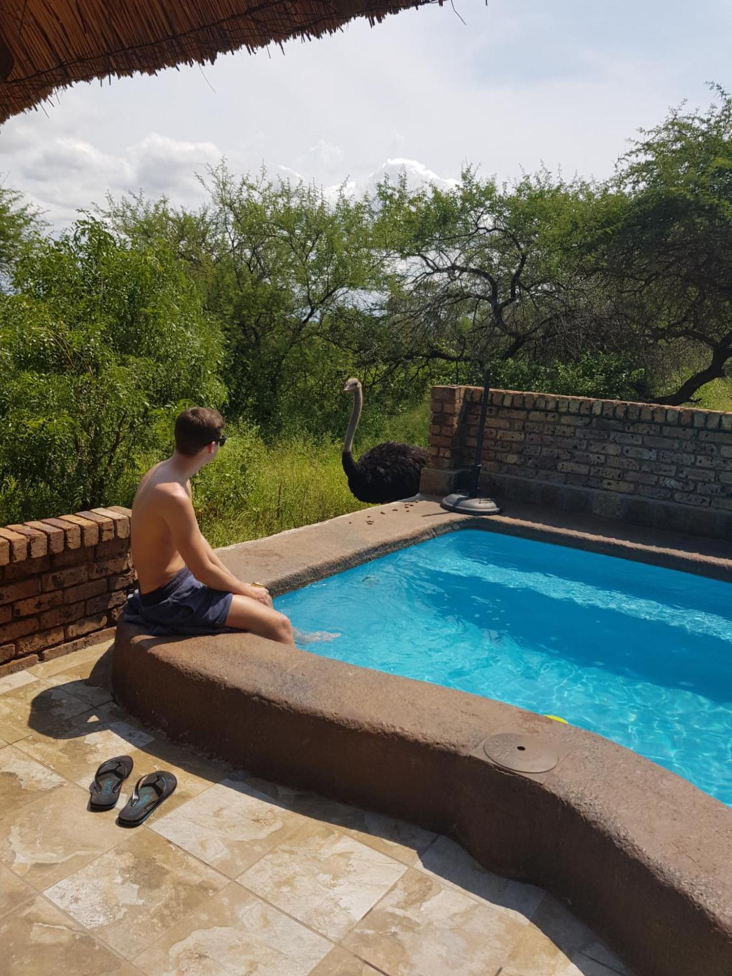 Giraffe Plains Villa Marloth Park Bagian luar foto